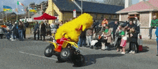Sesame Street Parade GIF by Storyful