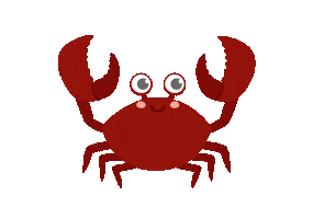 Beach Ocean Sticker by Ostsee Therme Scharbeutz