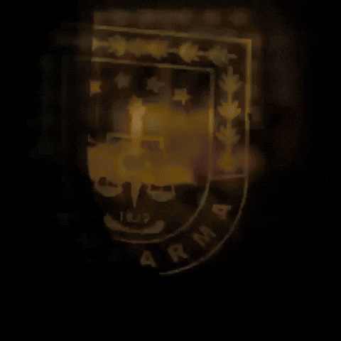 Law Enforcement Turkey GIF