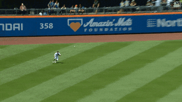 Major League Baseball Wow GIF by New York Mets
