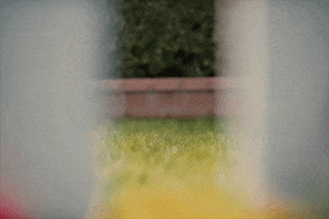 Best Friends Murder GIF by Kelsea Ballerini