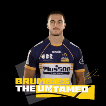 Tom Wright GIF by BrumbiesRugby