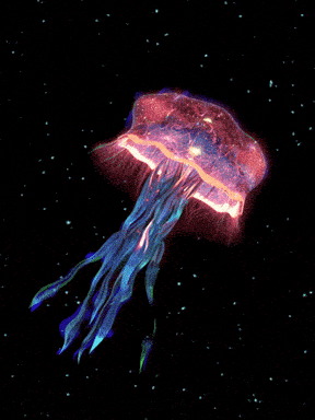 Понимаю В этом году как никогда много медуз было