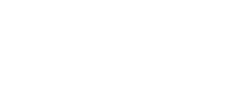 Bird & Bees Sticker
