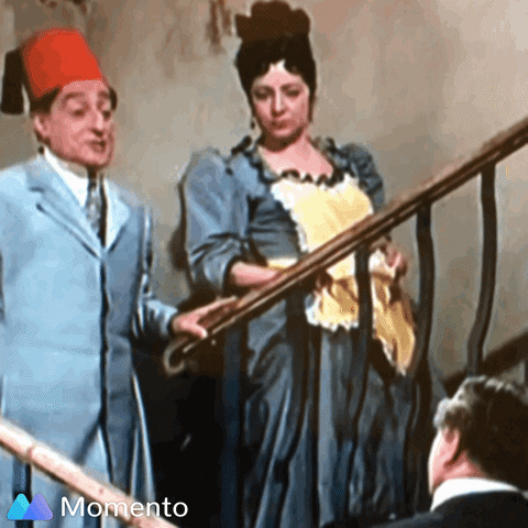 Toto GIF