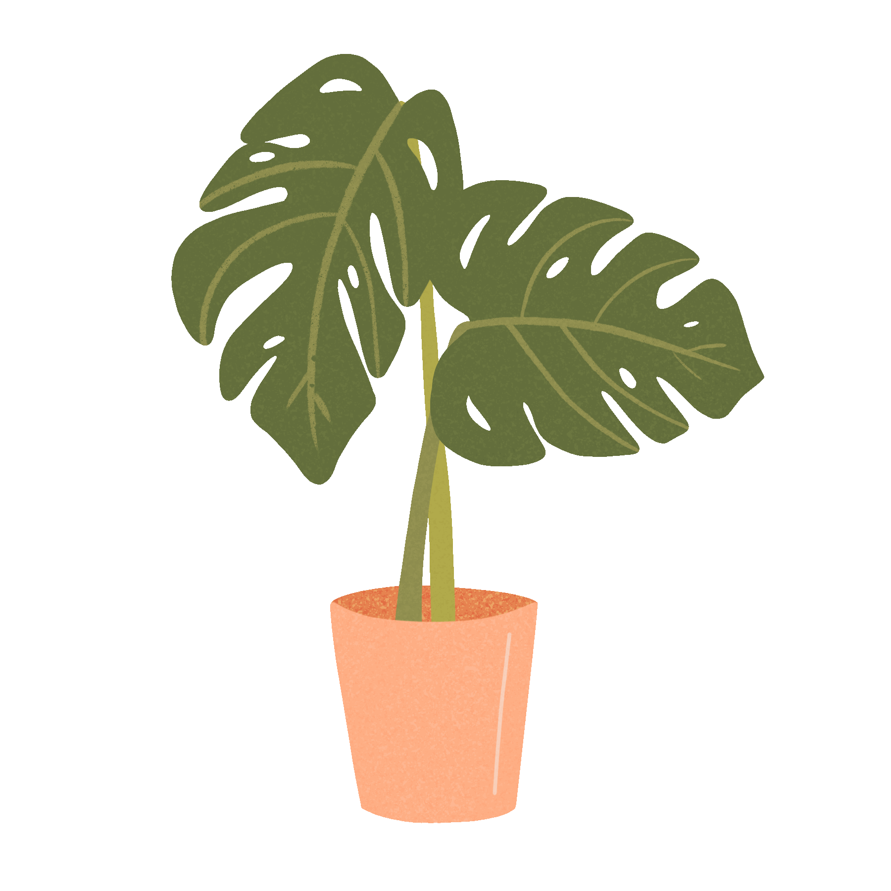 Plant Leaves Sticker by Liana Hughes Creative for iOS & Android | GIPHY
