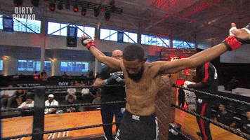 Fight Night Knockout GIF by Dirty Boxing Championship