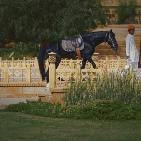 Suryagarh Collection GIF