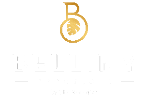 Brunchbarcelona Sticker by TheBenedictBcn