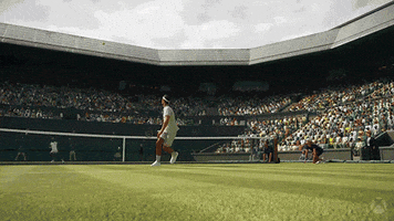 Tennis Court Point GIF by Xbox