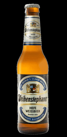 weihenstephanusa beer germany german october GIF