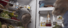 Hungry Snack GIF by Peter Rabbit Movie