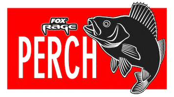 Predator Perch GIF by FoxInt