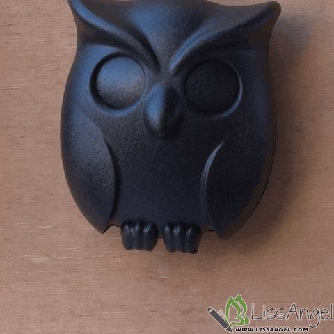 Owl GIF