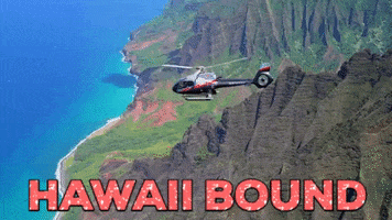 maverickhelicopters hawaii helicopter aloha maverick GIF