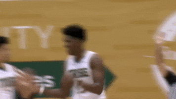 Clapping Gotribe GIF by William & Mary Tribe Athletics