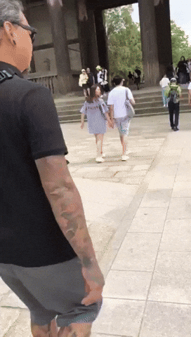 鹿 お辞儀 今日のgif