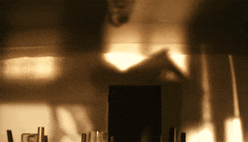 GIF by The Woman in the Yard