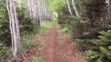 Walking GIF