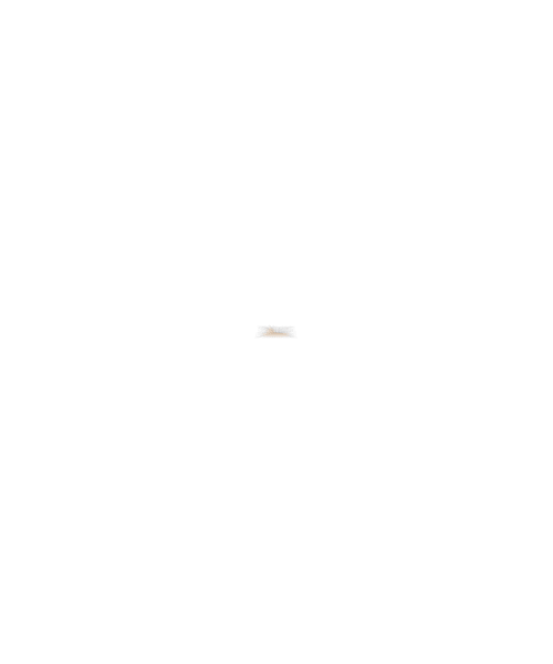Xiaomi Indonesia Sticker