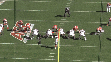 Nfl Draft GIF