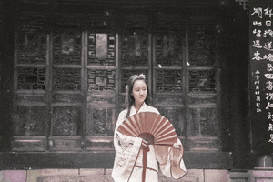 China Press Release GIF