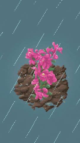 Nature GIF