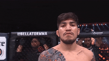 Lets Go Win GIF by Dillon Danis