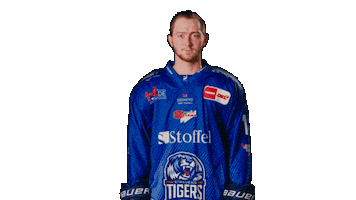 Madden Sticker by Straubing Tigers
