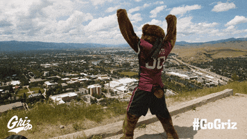 Football Mascot GIF by Montana Grizzlies