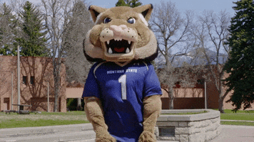 Excited You Got It GIF by Montana State University