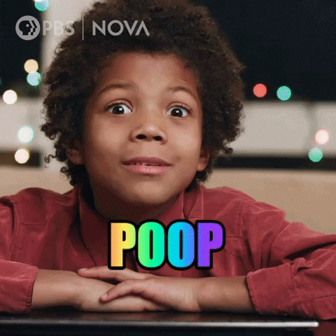 Health Poop GIF by PBS Digital Studios