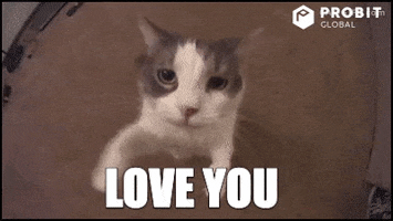 I Love You Kiss GIF by ProBit Global
