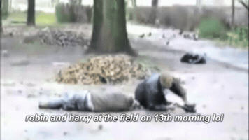 belfastbaps  GIF