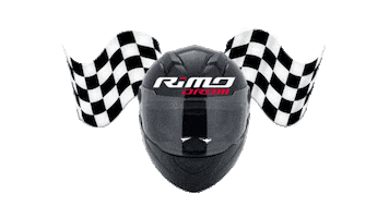 RiMODROM Sticker
