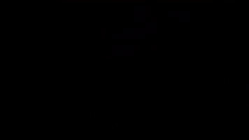 Event Atlanta GIF by ZooATL