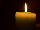 100.gif?cid=20e14a2aagw9zs9e467sfn45cdtqsfzdpmgvw9kbdeip63cg&rid=100.gif