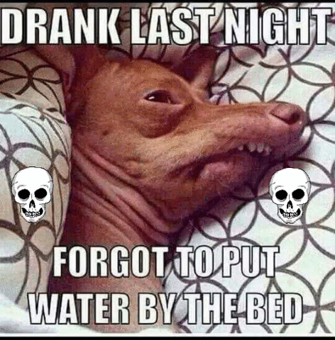 Beer Hangover GIF