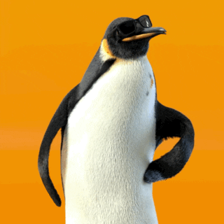 Penguin GIF by Pin do Ponto