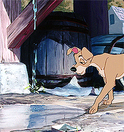 lady and the tramp drinking GIF