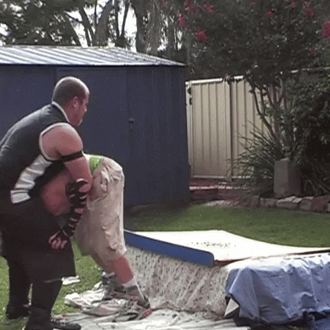 Professional Wrestling Wwe GIF