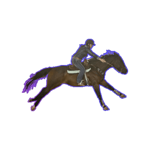 WhinneyWear Sticker