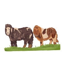 Buzz Honeypot Sticker by Little Buds UK