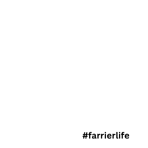 Horse Horseshoe Sticker by Strohm Hufbeschlagartikel