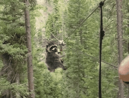 Instagram Trending GIF