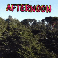 Good Afternoon Travel GIF by Yevbel