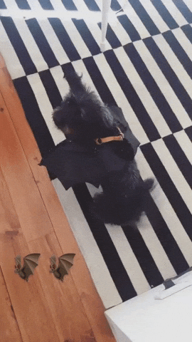 GIF by Legendary People + Ideas