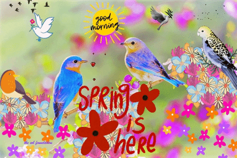 spring good morning