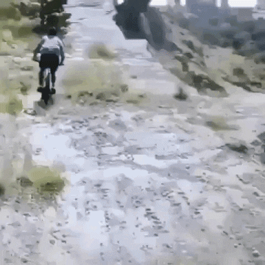 Bicycle GIF