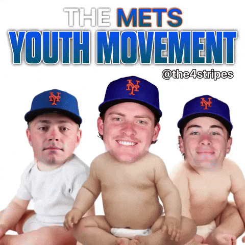 New York Mets Baseball GIF